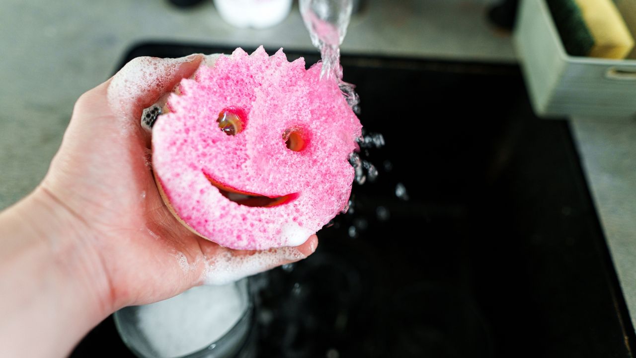 Scrub Daddy accuses 3M of ‘sponging off’ invention Patents World IP